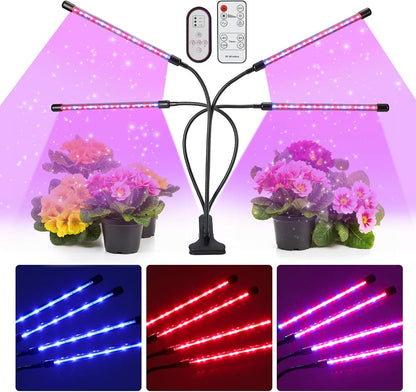 LED Plant Grow Light for Indoor Plants, 4 Head 72 LED Red & Blue Spectrum Plant Grow Lamp with 9 Brightness & 4 Modes, Clip-On Plant Growing Lights with Timer for Indoor Greenhouse Plant Growth