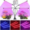 LED Plant Grow Light for Indoor Plants, 4 Head 72 LED Red & Blue Spectrum Plant Grow Lamp with 9 Brightness & 4 Modes, Clip-On Plant Growing Lights with Timer for Indoor Greenhouse Plant Growth