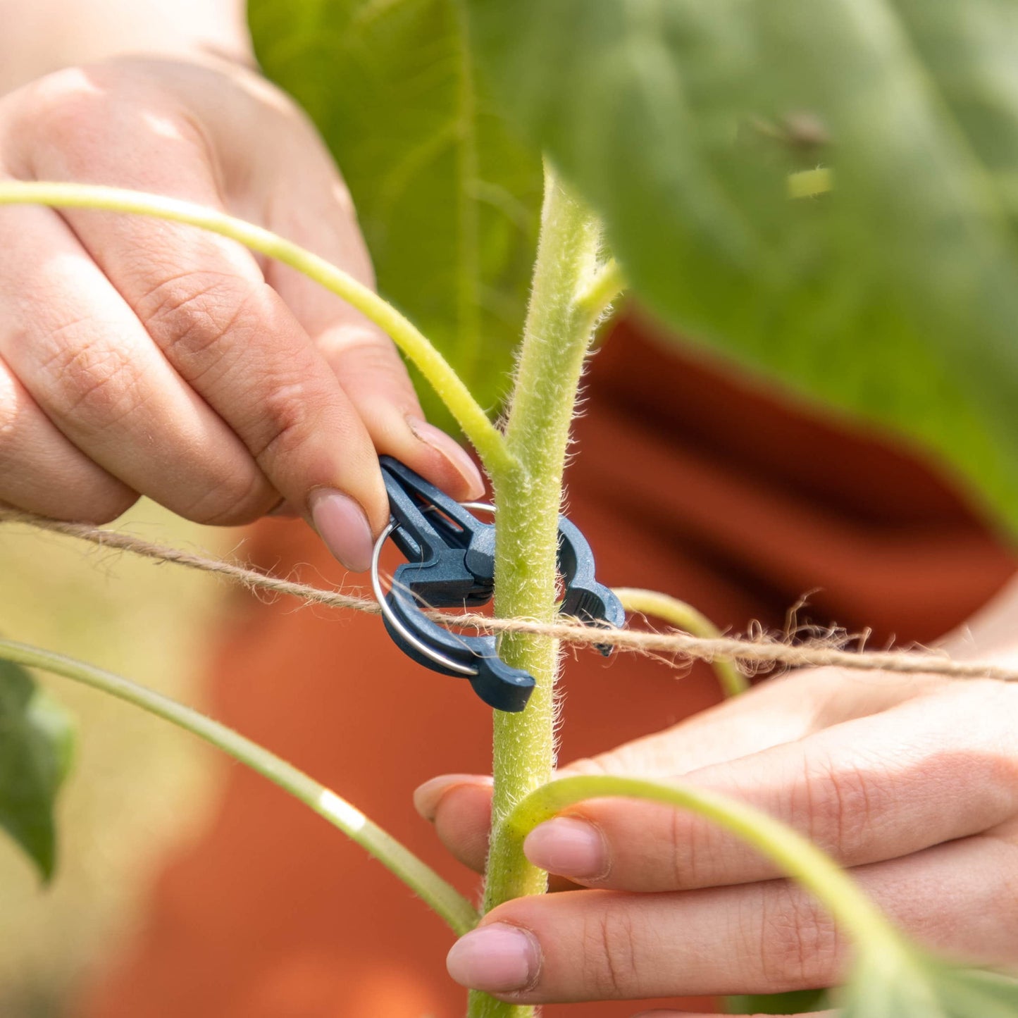 Garden Plant Support Clip Set with Gentle Fastening (20 Pieces)