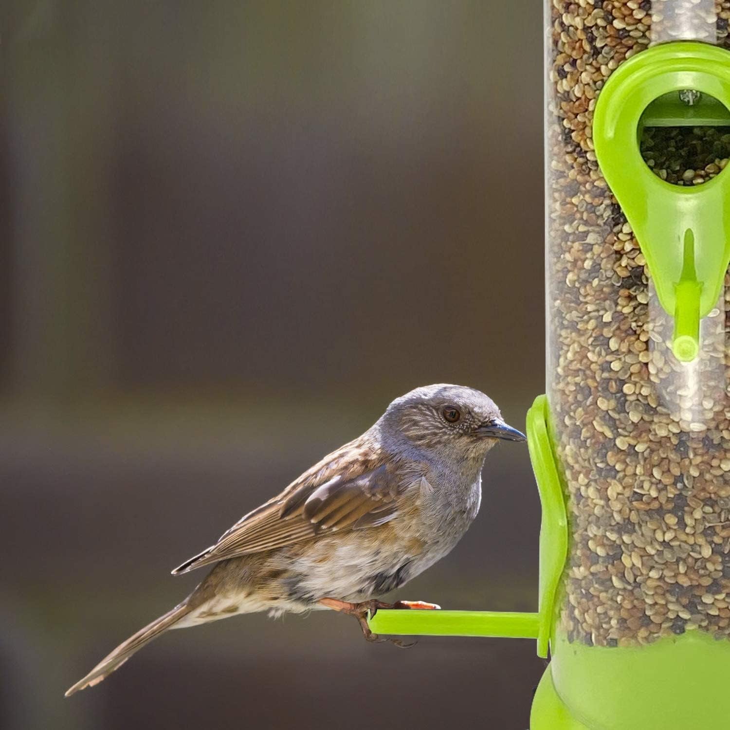 Bird Feeder Tube Hanging Feeders, 6 Port Wild Bird Feeders Premium Hard Plastic with Steel Hanger Weatherproof and Water Resistant Great for Attracting Birds 18.2 Inches Large (Light Green)