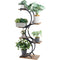 Plant Stand Indoor 6-Tier Wrought Iron Plant Stand Green Indoor Plant Stand Tiered Use Office Home Decor