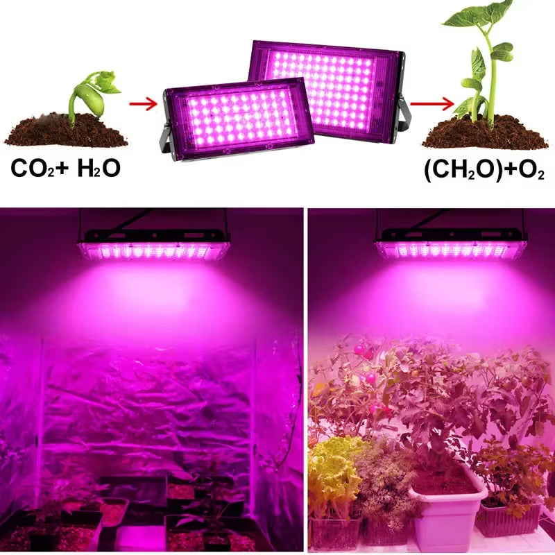 Phyto Lamp 50W 100W 300W Phytolamp for Plants Full Spectrum Led Cultivation Plant Grower Indoor Culture Led Grow Lamp Uv Lamp