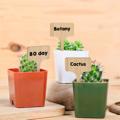 25 Pcs Garden Plant Labels T-Shaped Wooden Plant Labels with Marker Pen for Indoor and Outdoor Plants