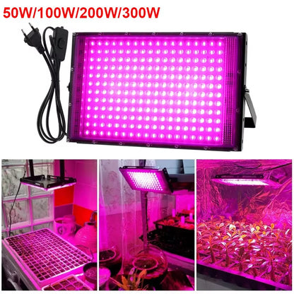 Phyto Lamp 50W 100W 300W Phytolamp for Plants Full Spectrum Led Cultivation Plant Grower Indoor Culture Led Grow Lamp Uv Lamp