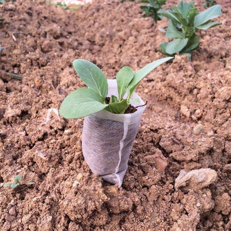 Non-woven gardening planting bag