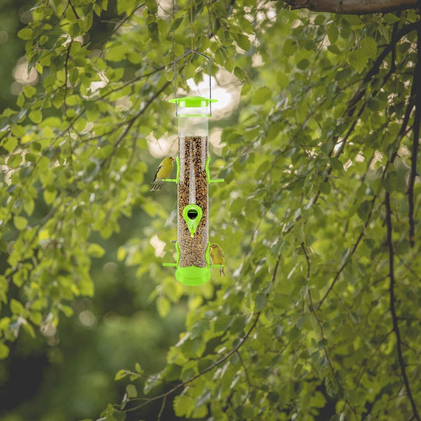 Bird Feeder Tube Hanging Feeders, 6 Port Wild Bird Feeders Premium Hard Plastic with Steel Hanger Weatherproof and Water Resistant Great for Attracting Birds 18.2 Inches Large (Light Green)