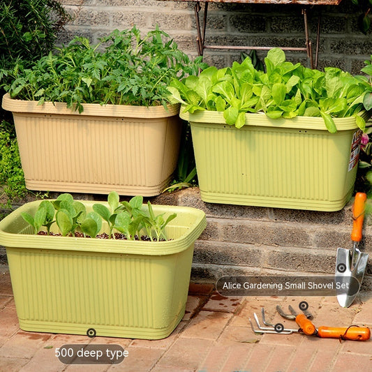 Extra Large Flowerpot Family Balcony Vegetables