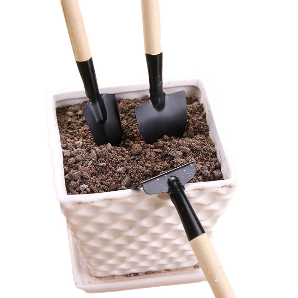 Gardening Tool Set (3 Pcs) Spade Shovel Rake for Garden Plants Care House Plants Flower Pot Indoor Small Plants Mini Plant Tool Succulent Kit