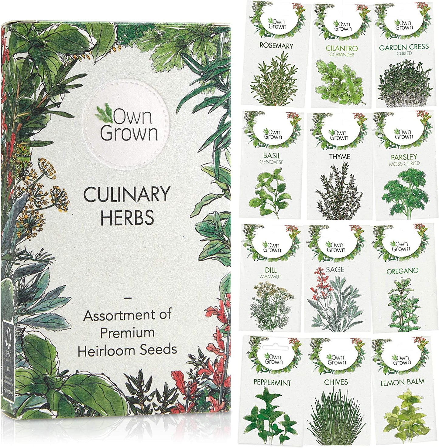 Herb Garden Seeds: > 8,000 Premium Herb Seeds, Variety Pack (12X) for Planting - Herb Set