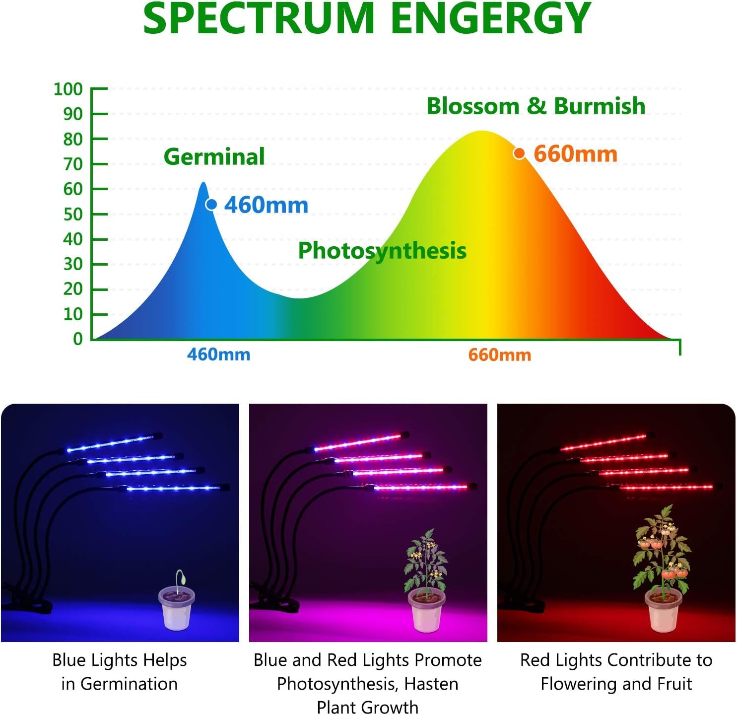 LED Plant Grow Light for Indoor Plants, 4 Head 72 LED Red & Blue Spectrum Plant Grow Lamp with 9 Brightness & 4 Modes, Clip-On Plant Growing Lights with Timer for Indoor Greenhouse Plant Growth